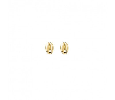 Maya Del Ray Sterling Silver Gold Plated Cowrie Shell Studs