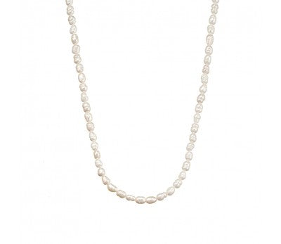 Maya Del Ray Seed Pearl Choker Necklace